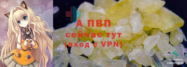 молекула духа Магадан