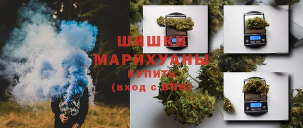 СК Медвежьегорск