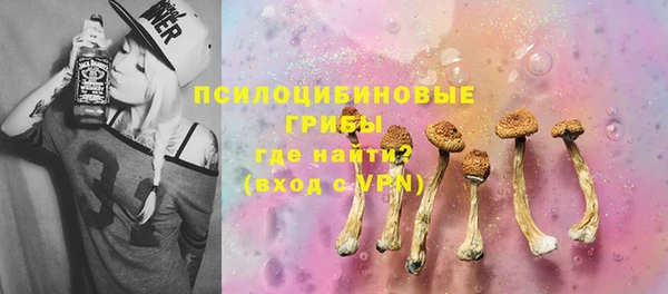 СК Медвежьегорск