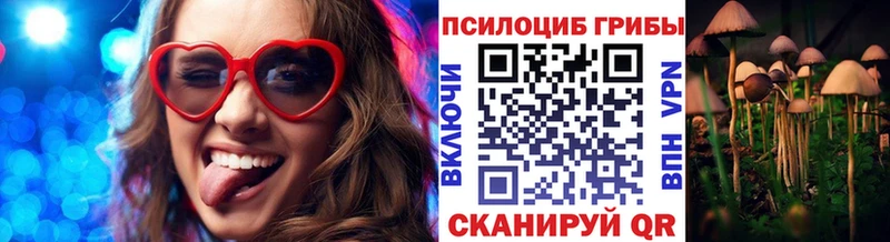 Псилоцибиновые грибы мицелий  Нолинск 