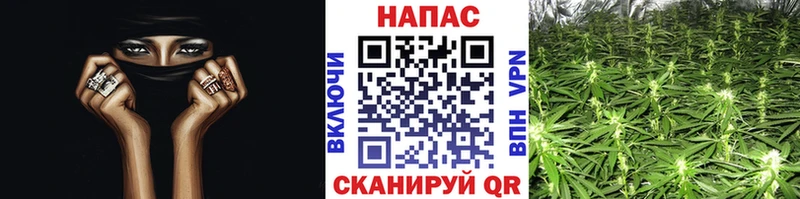 дарнет шоп  Нолинск  МАРИХУАНА Ganja 